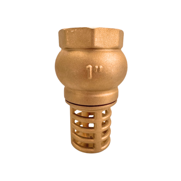 VALVULA DE RETENCAO SUCCAO PE FUNDO DE POCO COM CRIVO 1''